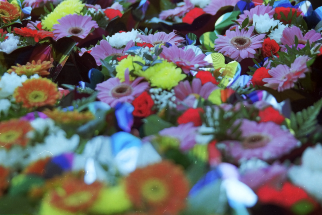Blumen1 Eco