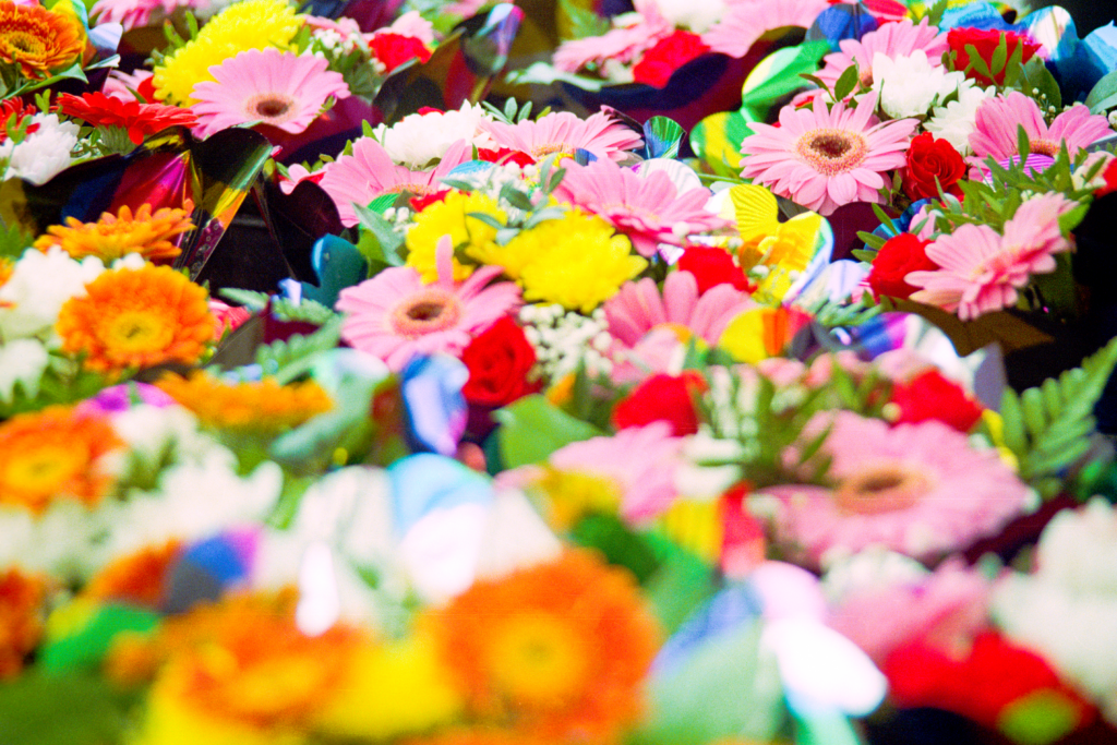 Blumen1 Prof