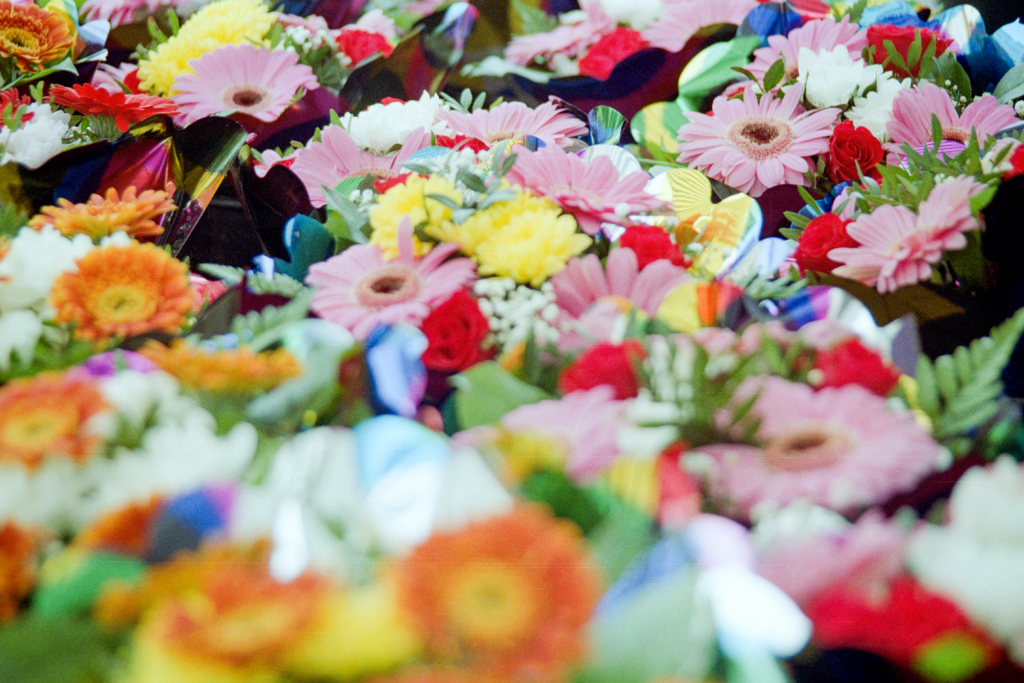 Blumen1 Standard